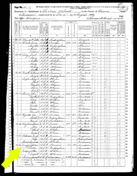 1870 Town of Forest census