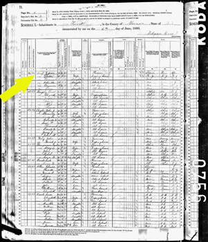 1880 Town of Forest census